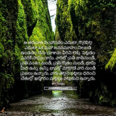 Picture 05 - ప్రకటన గ్రంథం 7:9 TELIRV - ఆ తరువాత సింహాసనం - Bible Verse Picture