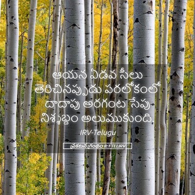 Picture 05 - ప్రకటన గ్రంథం 8:1 TELIRV - ఆయన ఏడవ సీలు - Bible Verse Picture