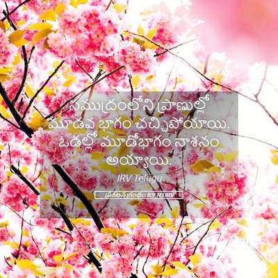 Picture 05 - ప్రకటన గ్రంథం 8:9 TELIRV - సముద్రంలోని - Bible Verse Picture