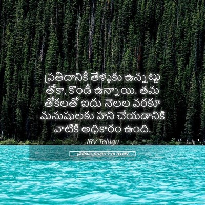Picture 05 - ప్రకటన గ్రంథం 9:10 TELIRV - ప్రతిదానికీ - Bible Verse Picture