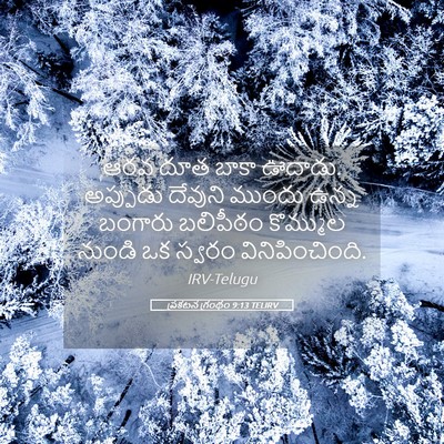 Picture 05 - ప్రకటన గ్రంథం 9:13 TELIRV - ఆరవ దూత బాకా ఊదాడు. - Bible Verse Picture