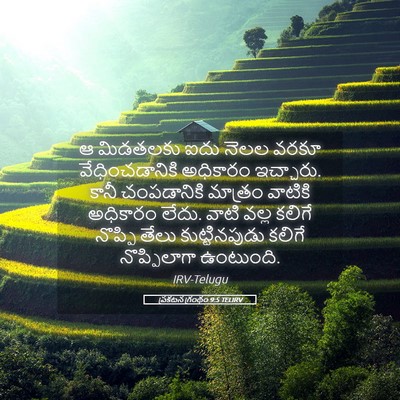 Picture 05 - ప్రకటన గ్రంథం 9:5 TELIRV - ఆ మిడతలకు ఐదు నెలల - Bible Verse Picture