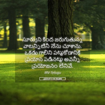 Picture 05 - ప్రసంగి 1:14 TELIRV - సూర్యుని కింద - Bible Verse Picture