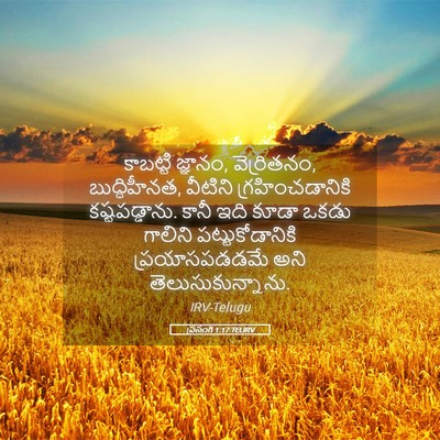 Picture 05 - ప్రసంగి 1:17 TELIRV - కాబట్టి జ్ఞానం, - Bible Verse Picture