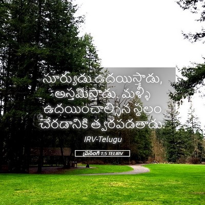 Picture 05 - ప్రసంగి 1:5 TELIRV - సూర్యుడు - Bible Verse Picture
