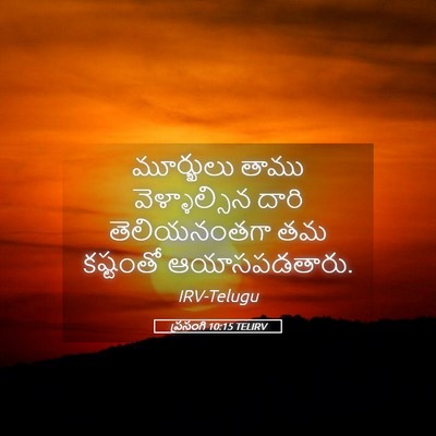 Picture 05 - ప్రసంగి 10:15 TELIRV - మూర్ఖులు తాము - Bible Verse Picture