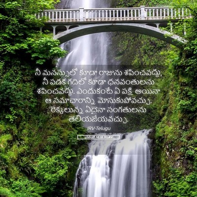 Picture 05 - ప్రసంగి 10:20 TELIRV - నీ మనస్సులో కూడా - Bible Verse Picture
