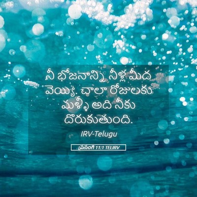 Picture 05 - ప్రసంగి 11:1 TELIRV - నీ భోజనాన్ని - Bible Verse Picture