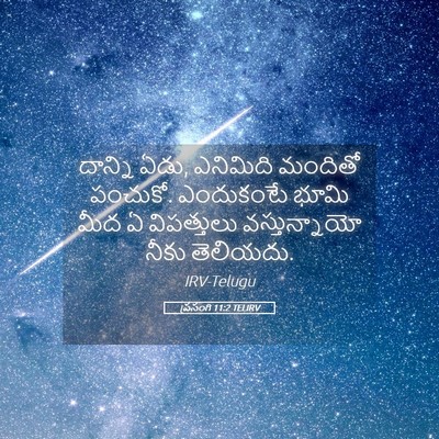 Picture 05 - ప్రసంగి 11:2 TELIRV - దాన్ని ఏడు, - Bible Verse Picture