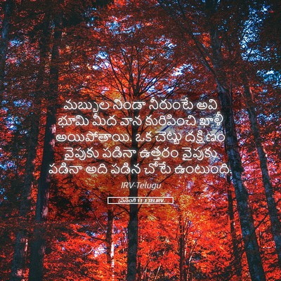 Picture 05 - ప్రసంగి 11:3 TELIRV - మబ్బుల నిండా - Bible Verse Picture