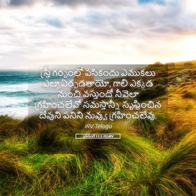 Picture 05 - ప్రసంగి 11:5 TELIRV - స్త్రీ గర్భంలో - Bible Verse Picture