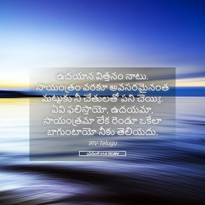 Picture 05 - ప్రసంగి 11:6 TELIRV - ఉదయాన విత్తనం - Bible Verse Picture