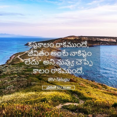 Picture 05 - ప్రసంగి 12:1 TELIRV - కష్టకాలం - Bible Verse Picture