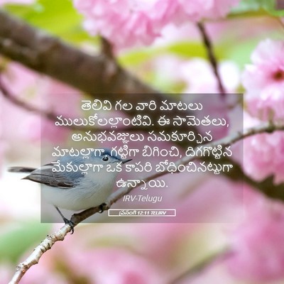 Picture 05 - ప్రసంగి 12:11 TELIRV - తెలివి గల వారి - Bible Verse Picture
