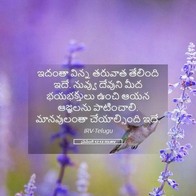 Picture 05 - ప్రసంగి 12:13 TELIRV - ఇదంతా విన్న - Bible Verse Picture