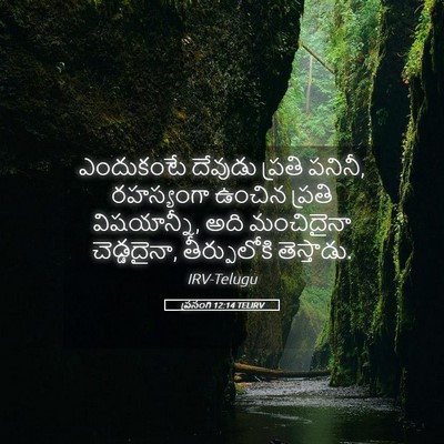 Picture 05 - ప్రసంగి 12:14 TELIRV - ఎందుకంటే దేవుడు - Bible Verse Picture