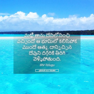 Picture 05 - ప్రసంగి 12:7 TELIRV - మట్టి తాను - Bible Verse Picture