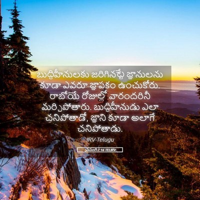 Picture 05 - ప్రసంగి 2:16 TELIRV - బుద్ధిహీనులకు - Bible Verse Picture