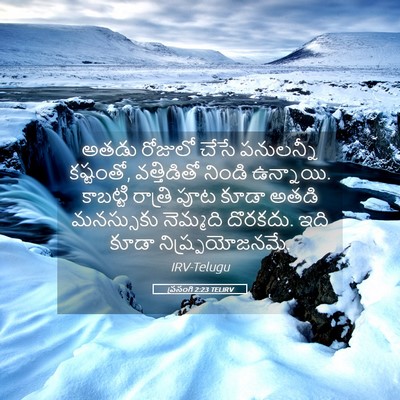 Picture 05 - ప్రసంగి 2:23 TELIRV - అతడు రోజులో చేసే - Bible Verse Picture