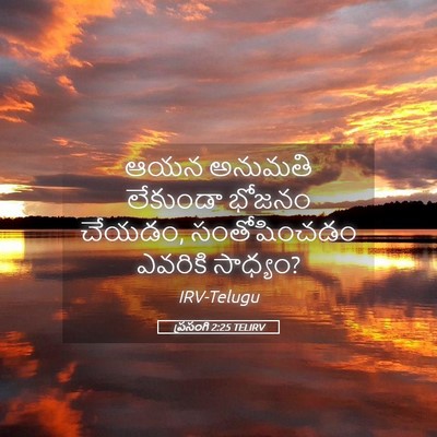 Picture 05 - ప్రసంగి 2:25 TELIRV - ఆయన అనుమతి - Bible Verse Picture