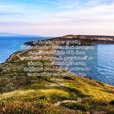 Picture 05 - ప్రసంగి 2:3 TELIRV - నా మనస్సు ఇంకా - Bible Verse Picture