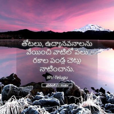 Picture 05 - ప్రసంగి 2:5 TELIRV - తోటలు, - Bible Verse Picture
