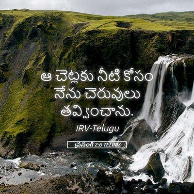Picture 05 - ప్రసంగి 2:6 TELIRV - ఆ చెట్లకు నీటి - Bible Verse Picture