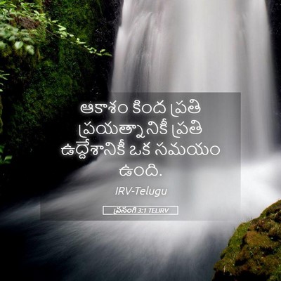 Picture 05 - ప్రసంగి 3:1 TELIRV - ఆకాశం కింద ప్రతి - Bible Verse Picture