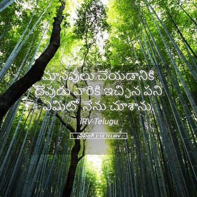 Picture 05 - ప్రసంగి 3:10 TELIRV - మానవులు చేయడానికి - Bible Verse Picture