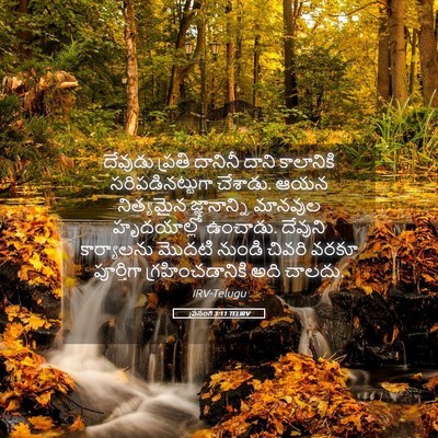 Picture 05 - ప్రసంగి 3:11 TELIRV - దేవుడు ప్రతి - Bible Verse Picture