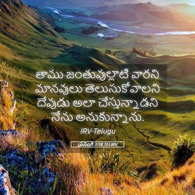 Picture 05 - ప్రసంగి 3:18 TELIRV - తాము జంతువుల్లాటి - Bible Verse Picture