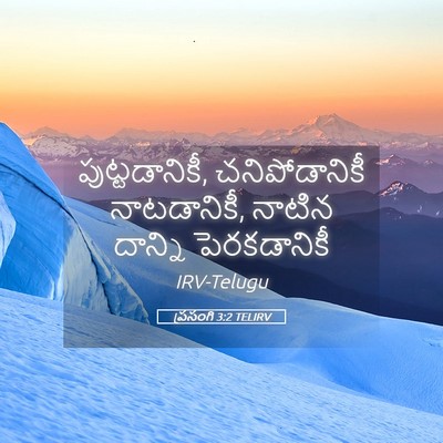 Picture 05 - ప్రసంగి 3:2 TELIRV - పుట్టడానికీ, - Bible Verse Picture