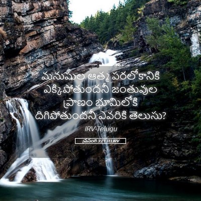 Picture 05 - ప్రసంగి 3:21 TELIRV - మనుషుల ఆత్మ - Bible Verse Picture