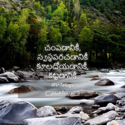 Picture 05 - ప్రసంగి 3:3 TELIRV - చంపడానికీ, - Bible Verse Picture