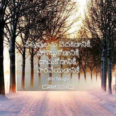 Picture 05 - ప్రసంగి 3:6 TELIRV - వస్తువులను - Bible Verse Picture