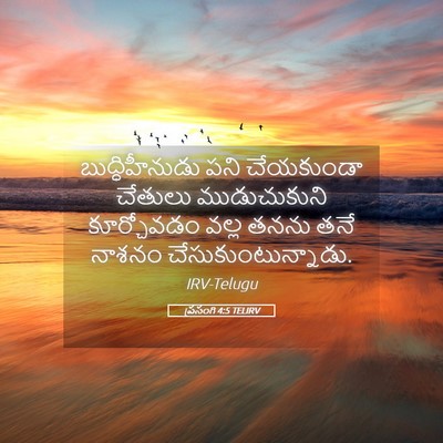 Picture 05 - ప్రసంగి 4:5 TELIRV - బుద్ధిహీనుడు పని - Bible Verse Picture