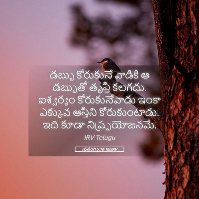 Picture 05 - ప్రసంగి 5:10 TELIRV - డబ్బు కోరుకునే - Bible Verse Picture