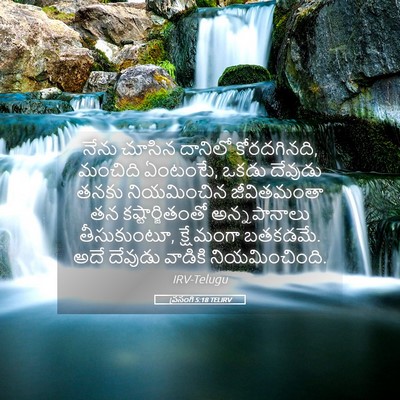 Picture 05 - ప్రసంగి 5:18 TELIRV - నేను చూసిన దానిలో - Bible Verse Picture