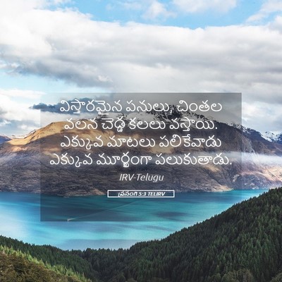 Picture 05 - ప్రసంగి 5:3 TELIRV - విస్తారమైన పనులు, - Bible Verse Picture