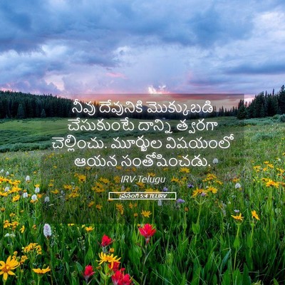 Picture 05 - ప్రసంగి 5:4 TELIRV - నీవు దేవునికి - Bible Verse Picture