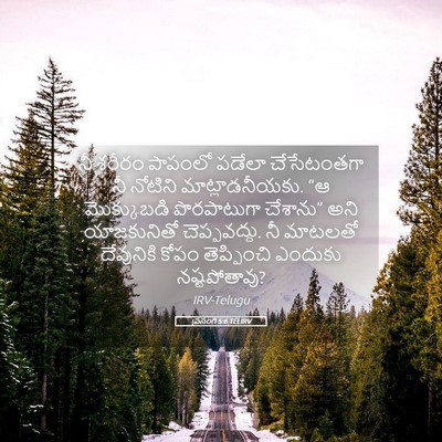 Picture 05 - ప్రసంగి 5:6 TELIRV - నీ శరీరం పాపంలో - Bible Verse Picture