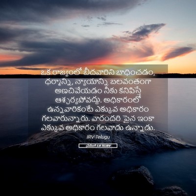Picture 05 - ప్రసంగి 5:8 TELIRV - ఒక రాజ్యంలో - Bible Verse Picture