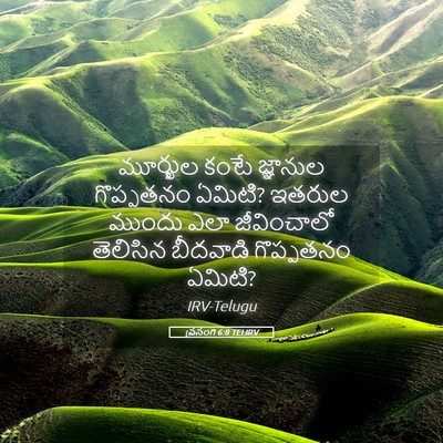 Picture 05 - ప్రసంగి 6:8 TELIRV - మూర్ఖుల కంటే - Bible Verse Picture