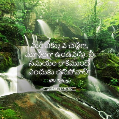 Picture 05 - ప్రసంగి 7:17 TELIRV - మరీ ఎక్కువ - Bible Verse Picture