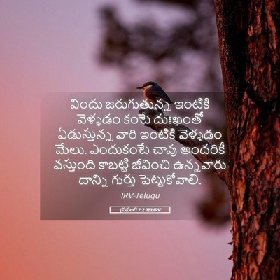 Picture 05 - ప్రసంగి 7:2 TELIRV - విందు జరుగుతున్న - Bible Verse Picture