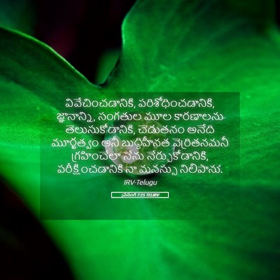 Picture 05 - ప్రసంగి 7:25 TELIRV - వివేచించడానికి, - Bible Verse Picture