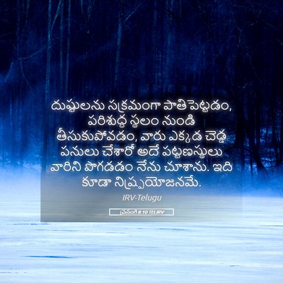 Picture 05 - ప్రసంగి 8:10 TELIRV - దుష్టులను - Bible Verse Picture