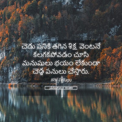 Picture 05 - ప్రసంగి 8:11 TELIRV - చెడు పనికి తగిన - Bible Verse Picture