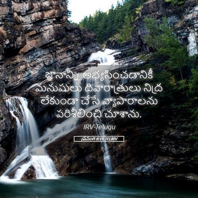 Picture 05 - ప్రసంగి 8:16 TELIRV - జ్ఞానాన్ని - Bible Verse Picture