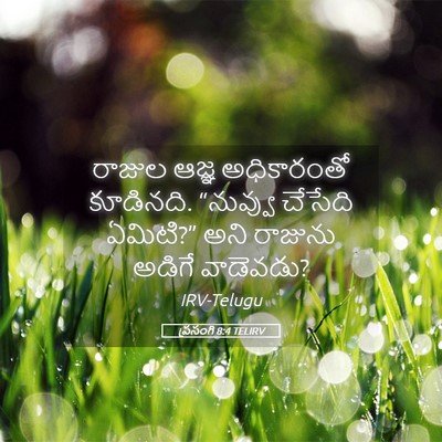 Picture 05 - ప్రసంగి 8:4 TELIRV - రాజుల ఆజ్ఞ - Bible Verse Picture